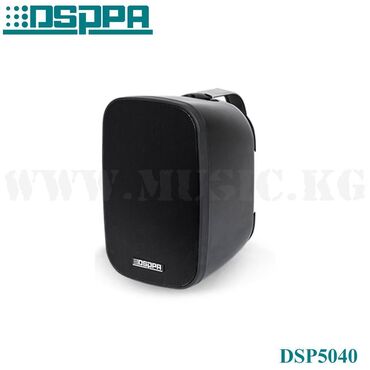 принтер штрих: Настенный громкоговоритель DSPPA DSP5040B Всепогодный настенный