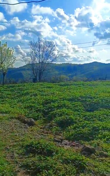 Bağ evlərinin satışı: Ağsu, 130 kv. m, 4 otaqlı, Hovuzsuz, İşıq, Kombi, Telefon -da lalafo.az — 7 Bağ evlərinin satışı: Ağsu, 130 kv. m, 4 otaqlı, Hovuzsuz, İşıq, Kombi, Telefon — 7