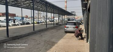 Другие садовые инструменты и инвентарь: Другие садовые инструменты и инвентарь — 8