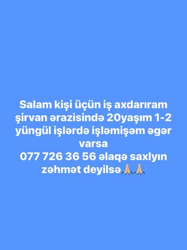 Inzibati heyət: Digər ixtisaslar