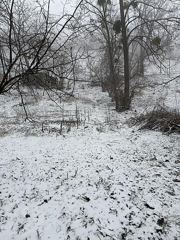 Torpaq sahələrinin satışı: 20 sot, Tikinti, Barter mümkündür, Kupça (Çıxarış) — 7