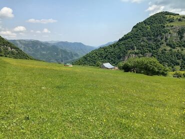 Torpaq sahələrinin satışı: 50 sot, Mülkiyyətçi, Kupça (Çıxarış) — 8