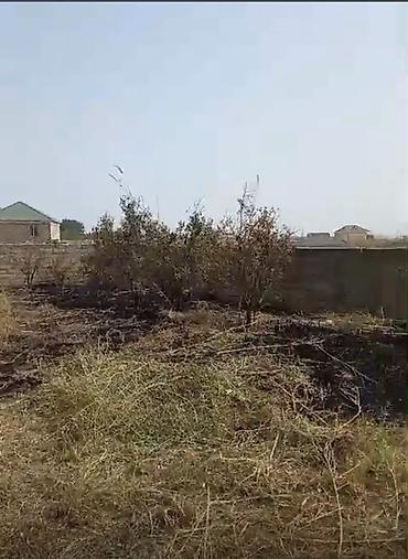 Torpaq sahələrinin satışı: Tikinti — 6