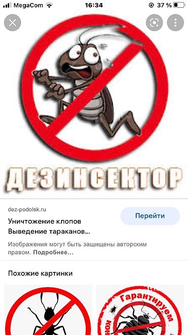 летник: Дезинфекция, дезинсекция, | Клопы, Блохи, Тараканы, | Офисы, Квартиры, Дома — 3