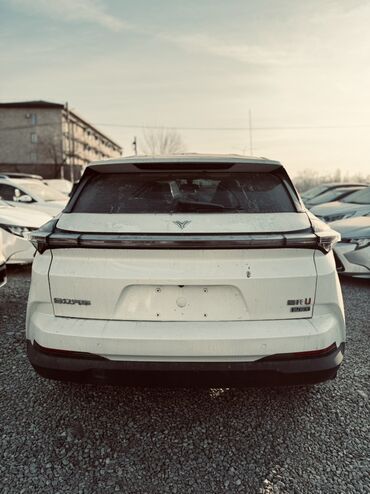 Другие автомобили: Neta U Pro /Ev-Электро кроссовер. Основные особенности: - Кузов — 4