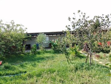 Həyət evləri və villaların satışı: Həyət evləri və villaların satışı — 16