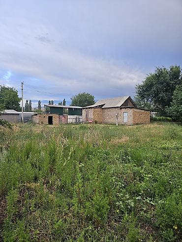 зеленый городок: 5 соток, Для сельского хозяйства, Красная книга — 3