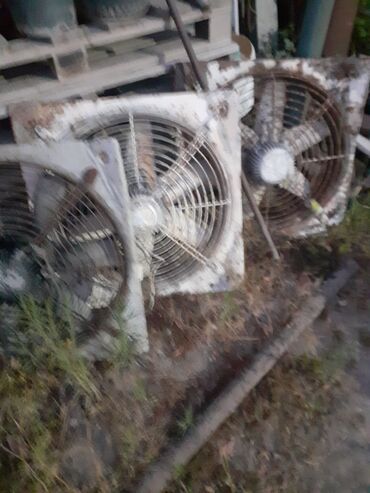 Ferma üçün vintilyator satılır. Biri 130manat.Şüvəlandadır