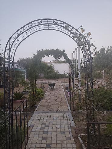 Metal fermalar: Arka bağ üçün Metall bağ arkası və sarmaşıq üçün konstruksiyalar - — 2