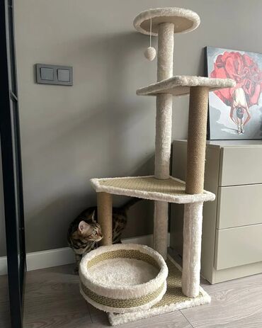 Зоотовары: 😻 Игровой комплекс для кошек: идеальное место для вашего питомца! 😻