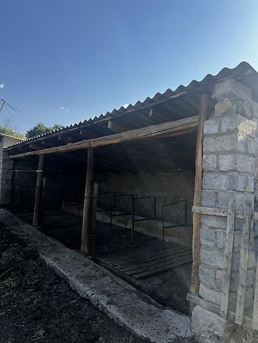квартира в аренду месяц: Просторный частный дом в селе Алмалуу Ысык Атинского района с — 4