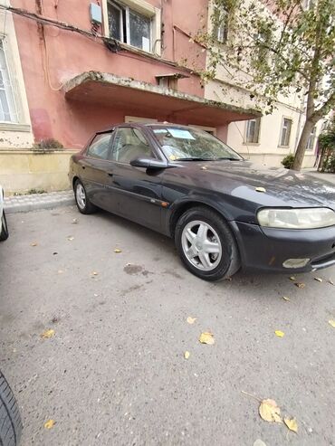 Opel: Opel Vectra: 2.5 l | 1997 il Sedan — 8