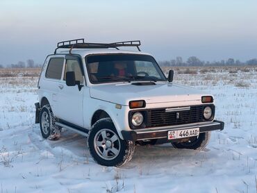 нива бронто: ВАЗ (ЛАДА) 4x4 Нива: 2007 г., 1.7 л, Механика, Бензин