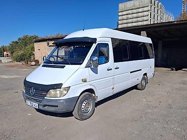 спринтер дельфин: Mercedes-Benz Спринтер: 2003 г., 2.9 л, Механика, Дизель, Бус — 1
