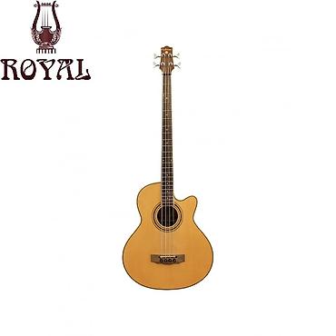 fender gitara: Extreme akustik bass gitara Akustik bass gitara Simlərin sayı: 4 — 1