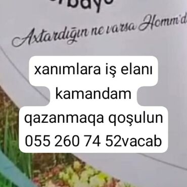 Digər kosmetika: Dodaq parıldadıcısı, Çəhrayı, Rayonlara çatdırılma