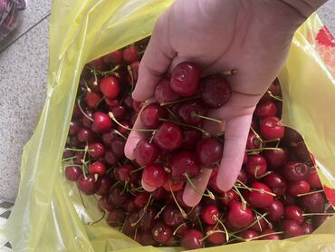 замороженная вишня: Вишня Оптом