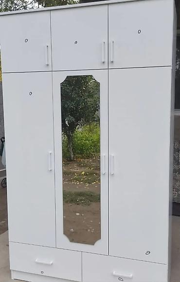 Шифоньеры, шкафы для одежды: Шифоньер, шкаф для одежды, Новый, Прямой, ЛДСП — 11