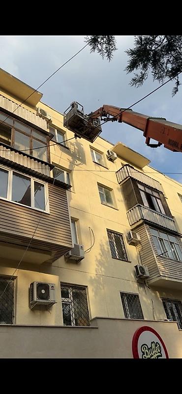 натожной патолок: Покраска стен, Покраска потолков, Покраска окон, На масляной основе, На водной основе, 3-5 лет опыта — 3