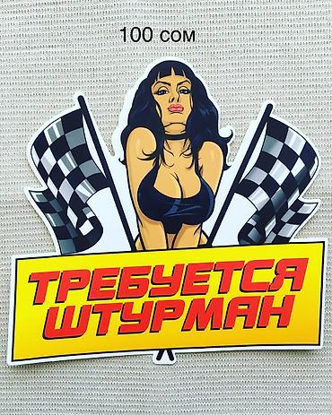 Наклейки и эмблемы: Наклейки на авто — 7