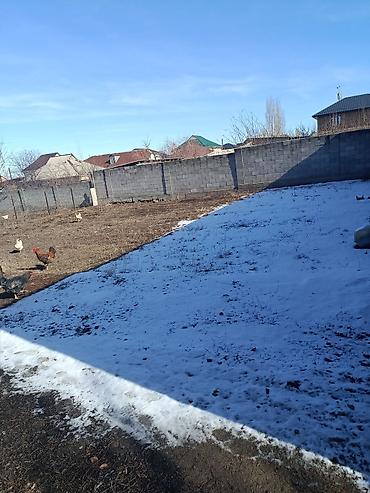 Жер тилкелери: 4 соток, Курулуш, Кызыл китеп — 3