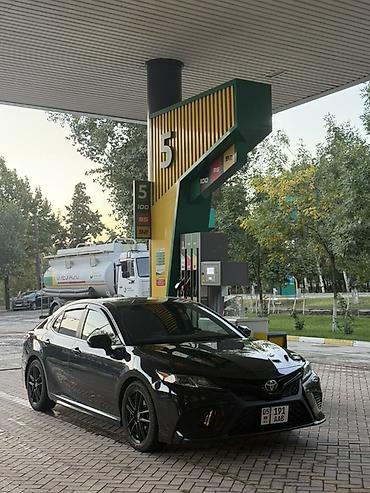 windom 2001: Toyota Camry: 2019 г., Бензин, Седан — 2