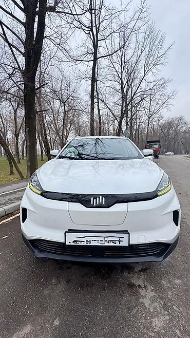 byd e1: Weltmeister EX5, 2020 г., Передний, В наличии — 7