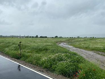 Продажа участков: 72 соток — 5