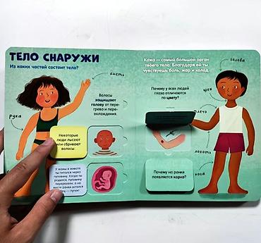 мозг: Книга с окошками «Тело человека» (издательство Clever) - Формат — 4