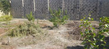 Həyət evləri və villaların satışı: 3 otaqlı, 120 kv. m, Kredit yoxdur, Orta təmir — 11