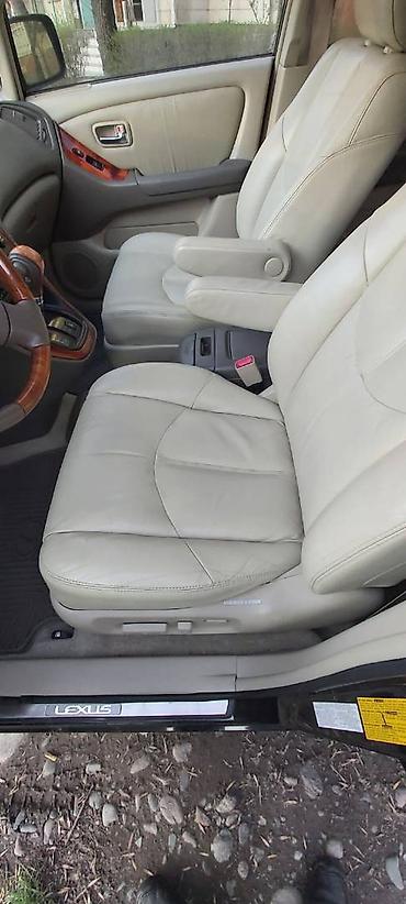 Lexus: Lexus RX: 2001 г., 3 л, Автомат, Бензин — 12