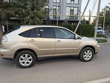 ерекс 330: Lexus RX: 2004 г., 3.3 л, Автомат, Бензин, Кроссовер — 7