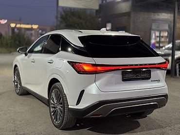 erl grup: Lexus RX: 2024 г., Автомат, Кроссовер — 6