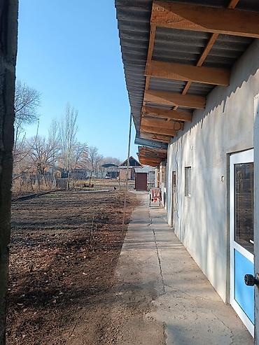 Аренда складов и мастерских: Продаю Дом с хоз постройками и земельным участком 9 соток. внутри — 7