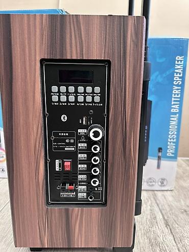 колонка для ноутбука usb: Портативная акустическая система SS-3101 (Professional Battery — 5