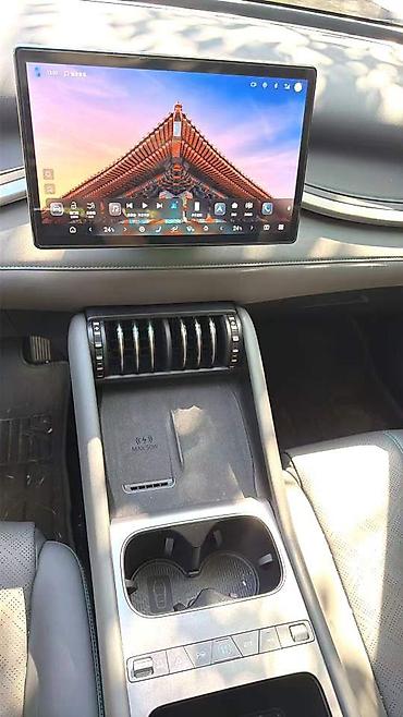 byd leopard: BYD Yuan Plus: 2025 г., Электромобиль, Кроссовер — 8