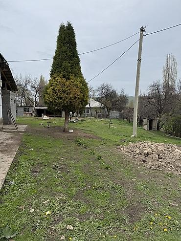 Продажа коттеджей и домов: Продаётся уютный дом площадью 100 м² с просторным участком 28 соток — — 6