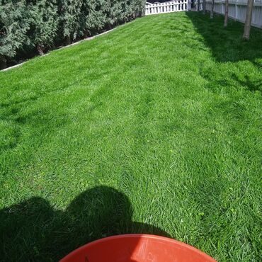 Bağbanlar: Bağ işləri ağac və kolların budanması,şəkilləndirməsi dərmanlara qazon -da lalafo.az — 7 Bağbanlar: Bağ işləri ağac və kolların budanması,şəkilləndirməsi dərmanlara qazon — 7