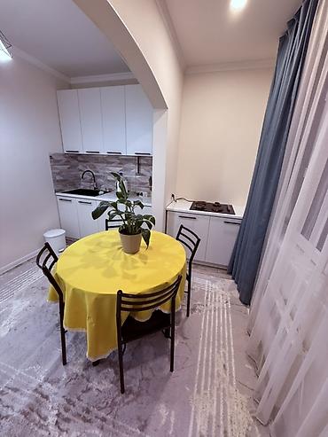 Долгосрочная аренда квартир: Студия, С мебелью полностью — 1