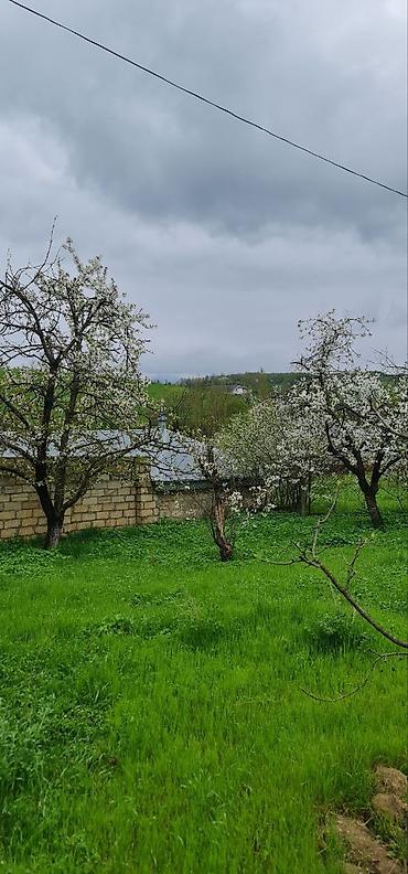 Torpaq sahələrinin satışı: 12 sot, Tikinti — 10