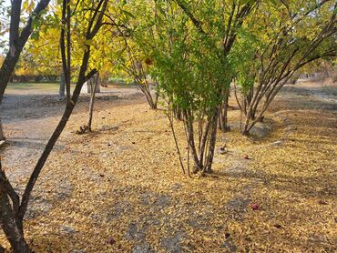 Həyət evləri və villaların satışı: 🏡 Satılır: 2 mərtəbəli həyət evi – Ağsu rayonu, Ərəbmehdibəy kəndi 📍 — 12