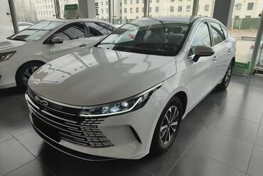 BYD: BYD : 1.5 l | 2024 il 55 km Sedan — 1