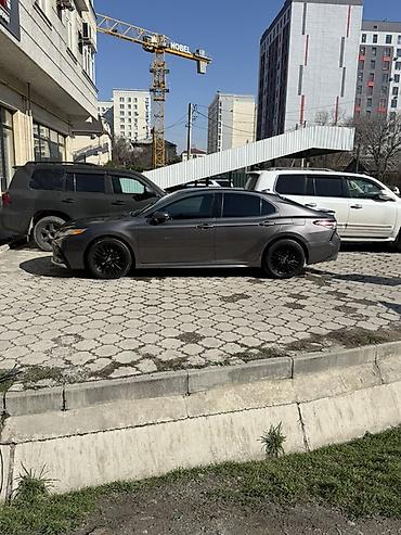 crown athlete: Toyota Camry: 2019 г., 2.5 л, Автомат, Бензин, Седан — 6