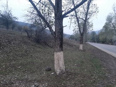 Torpaq sahələrinin satışı: 24 sot, Mülkiyyətçi, Kupça (Çıxarış) -da lalafo.az — 4 Torpaq sahələrinin satışı: 24 sot, Mülkiyyətçi, Kupça (Çıxarış) — 4