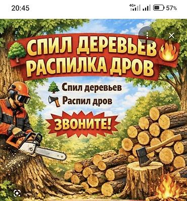 чоп ором: Спил деревьев, подрезка дерева Колю дрова, подготовка дров к зиме — 1
