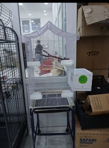 Qəfəslər: Her qiymete her olcude yeni qefeslermiz var satisda bayram edirimleri -da lalafo.az — 2 Qəfəslər: Her qiymete her olcude yeni qefeslermiz var satisda bayram edirimleri — 2