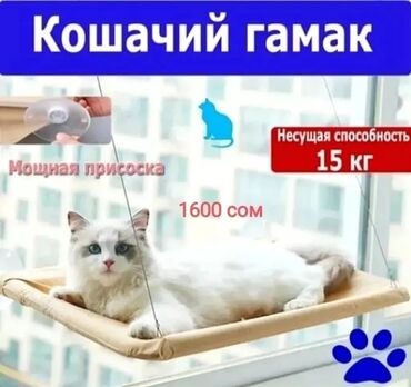 вислоухий рыжий кот цена: Гамак навесной для котят и кошек. цена 1600 сом