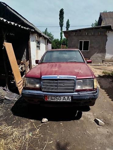 argb controller: Mercedes-Benz E-Class: 1992 г., 2.3 л, Механика, Бензин, Седан — 5