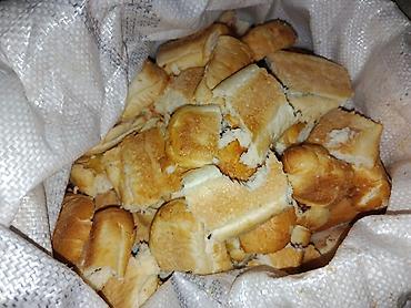 собаки рынок в бишкеке цены: Продаю на корм животным, хлеб свежий, просрочка по 14 сом кг — 3