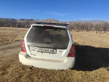 Subaru: Subaru Forester: 2002 г., 2 л, Автомат, Бензин, Универсал — 9